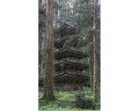 Japan: Eyewitness Travel артикул 13920b.